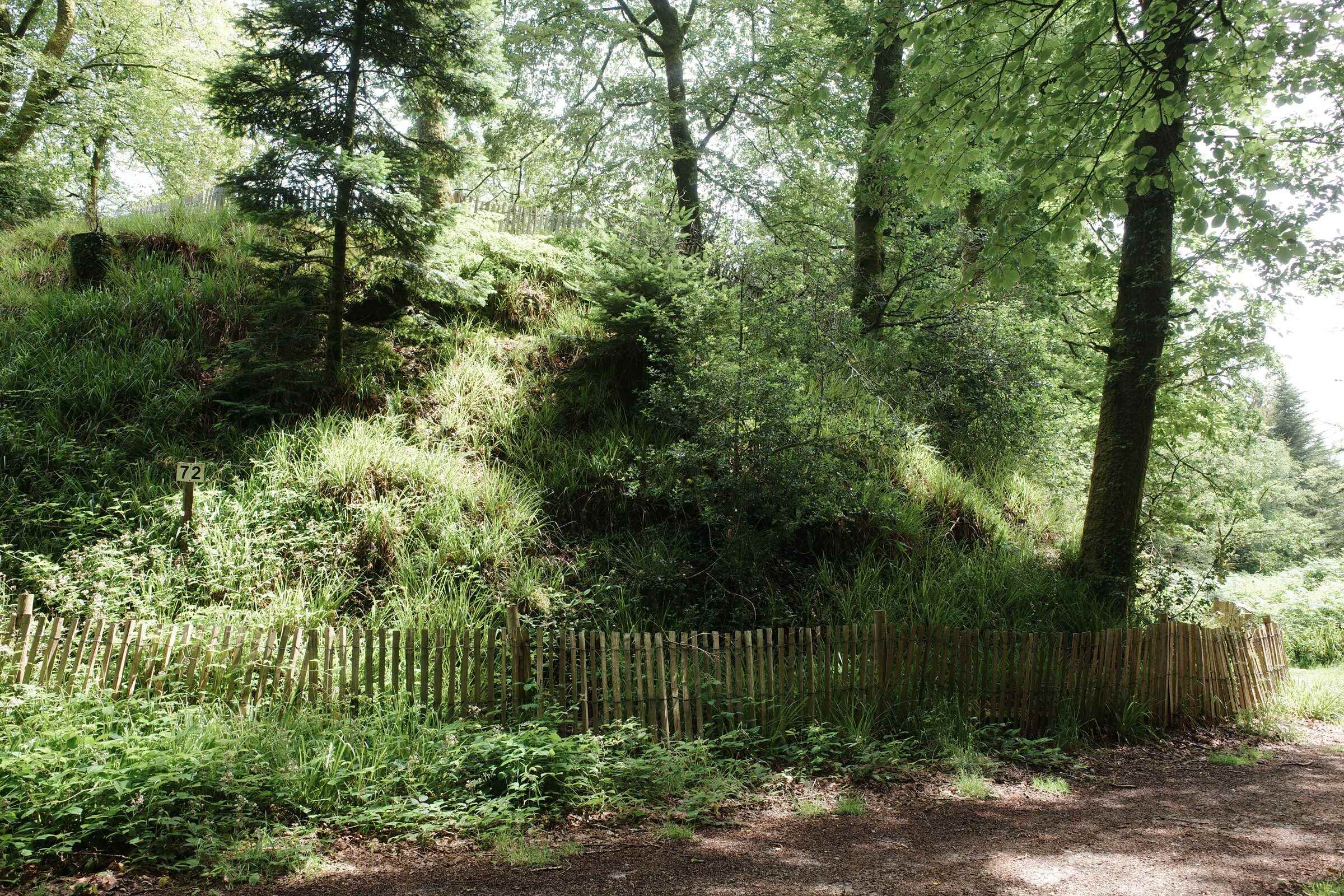 Motte médiévale