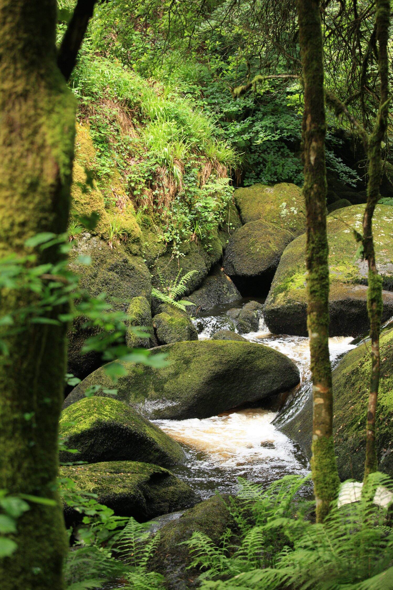 La Rivière d'Argent