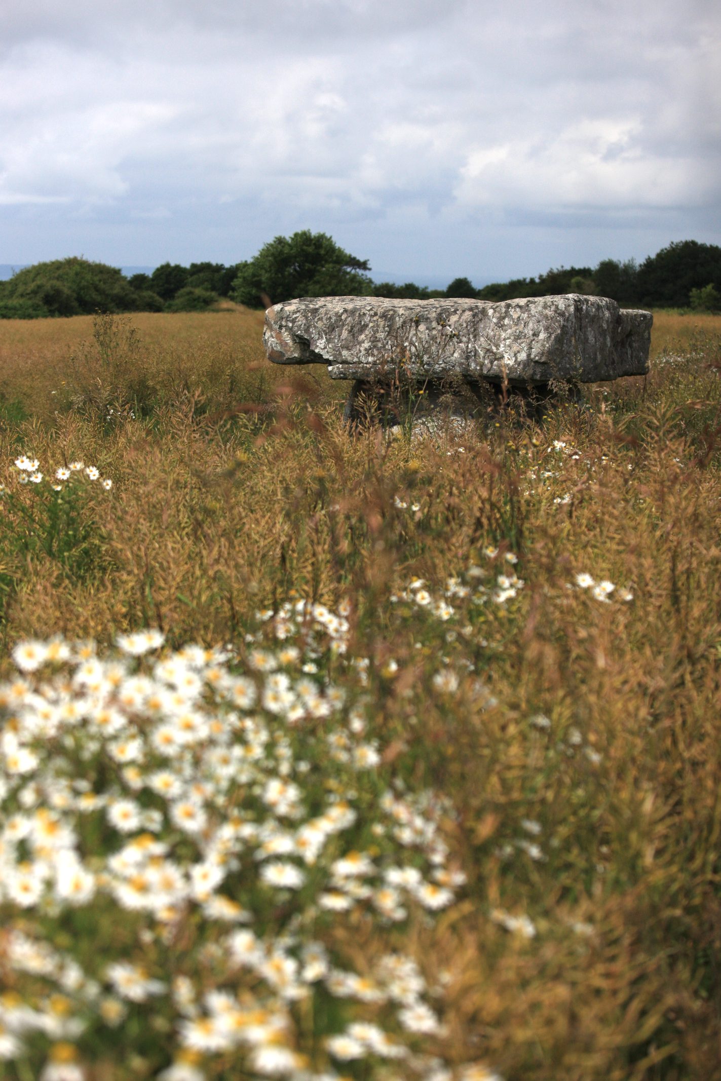 Dolmen de Menez Lié