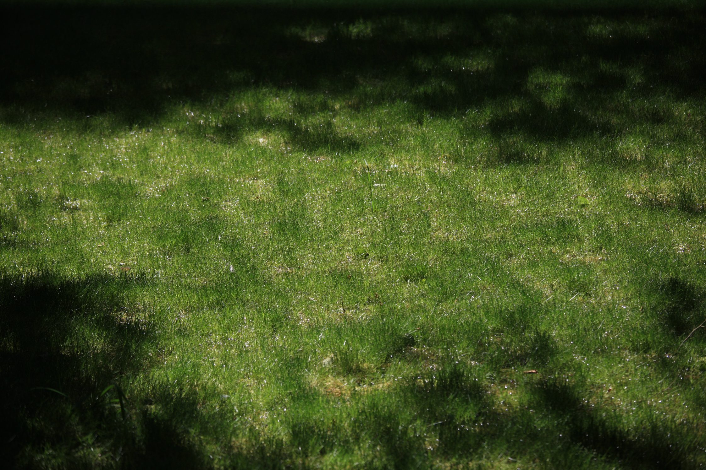 /img/2024/06/29-12.jpg
