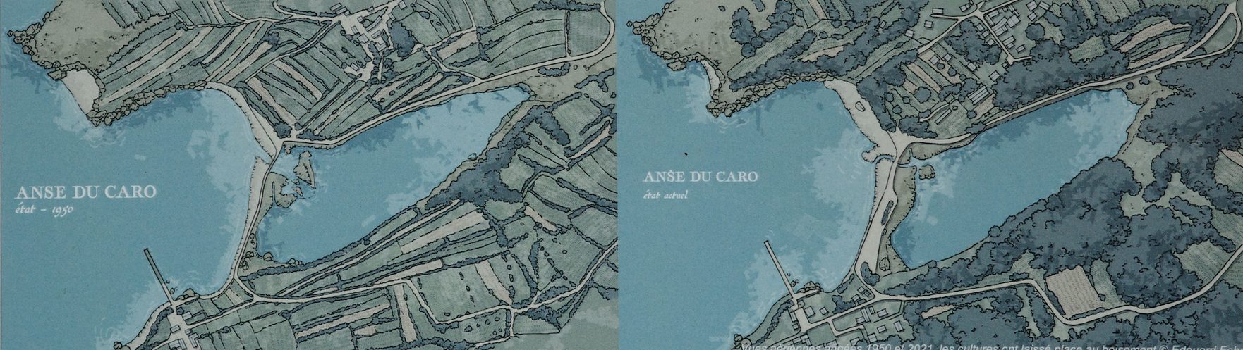 2 vues aériennes 1950 et 2021, montrant que les cultures ont été remplacées par des bois