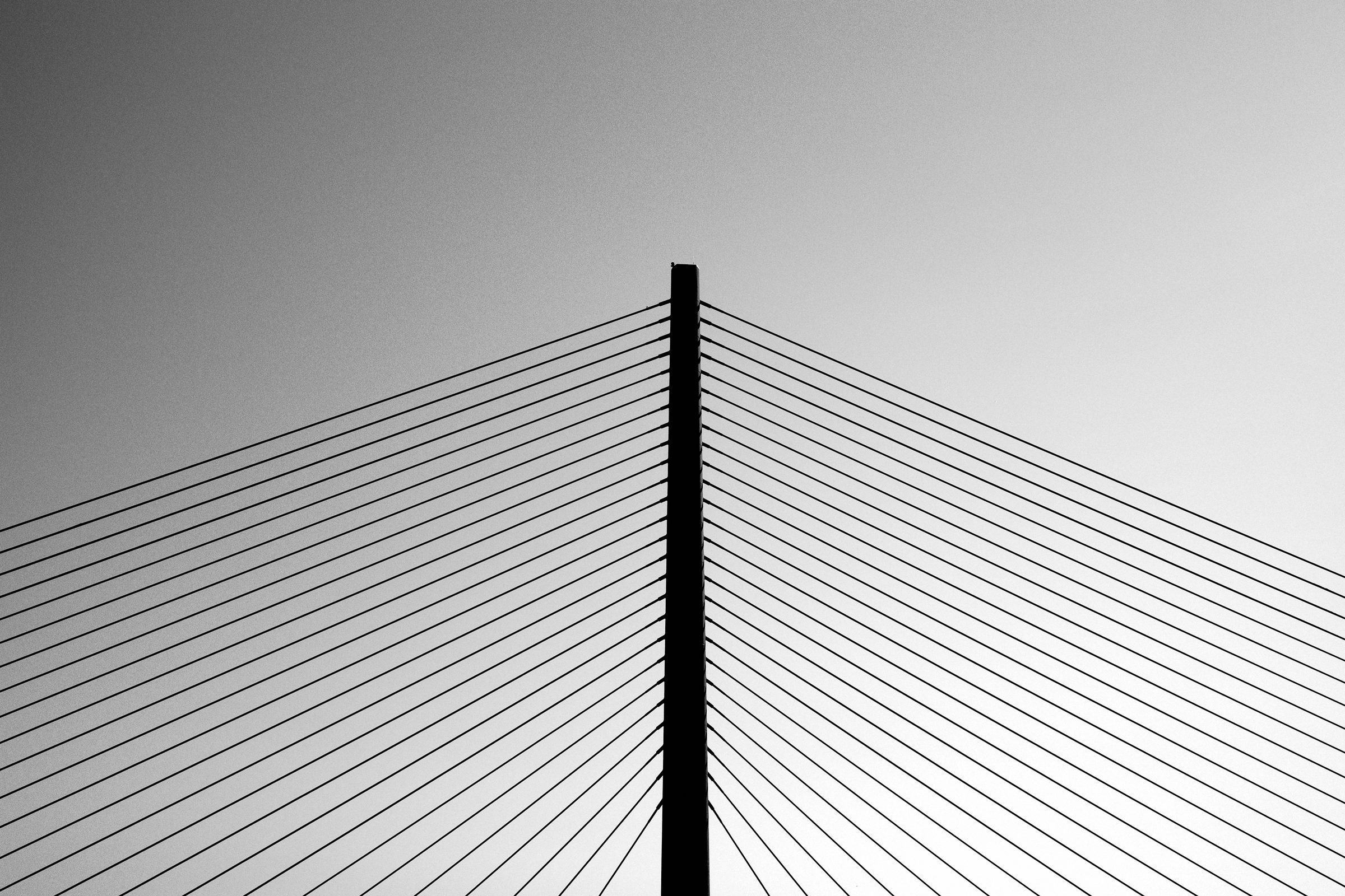 /img/2024/08/15-9.jpg