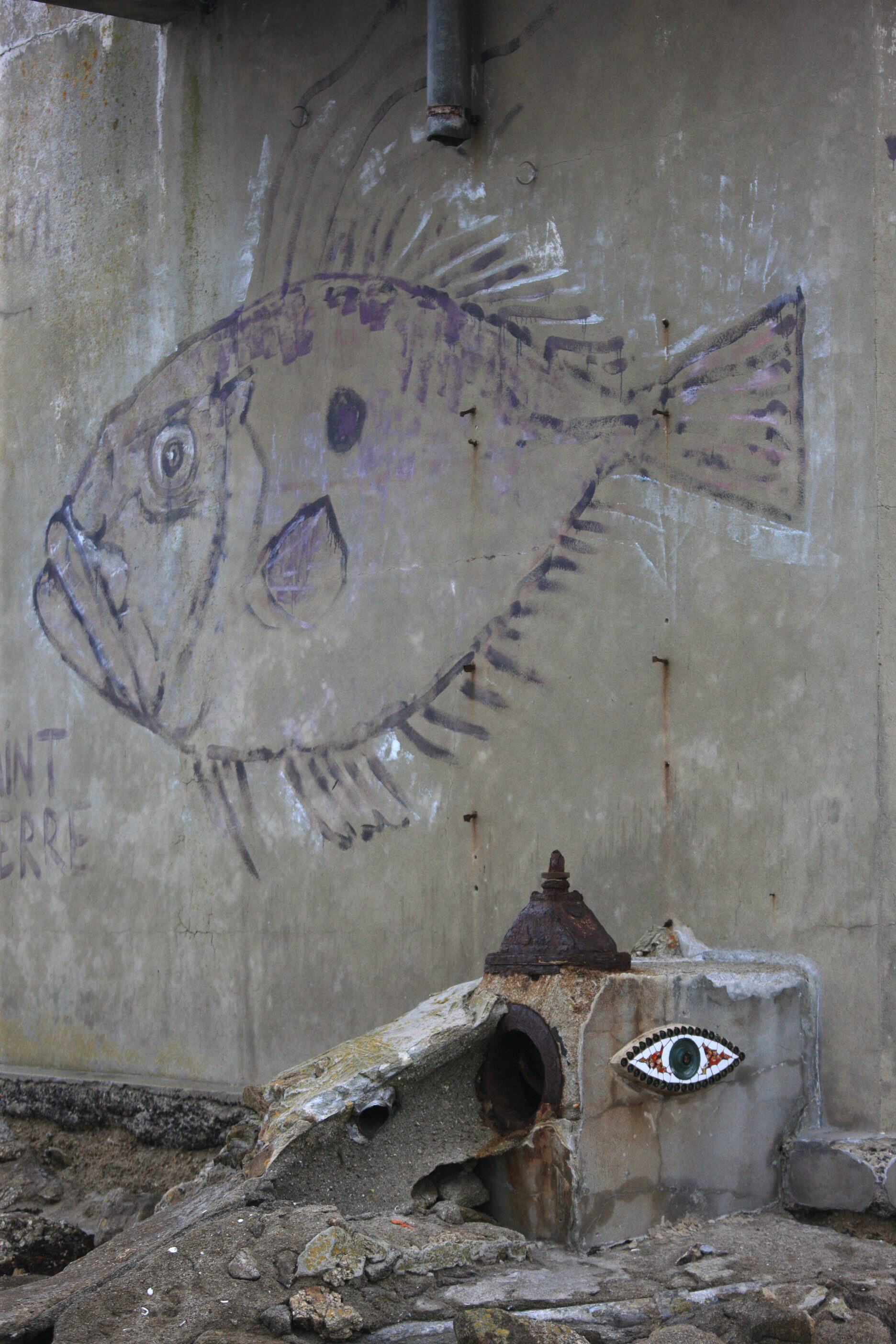un des yeux de Pierre Chanteau