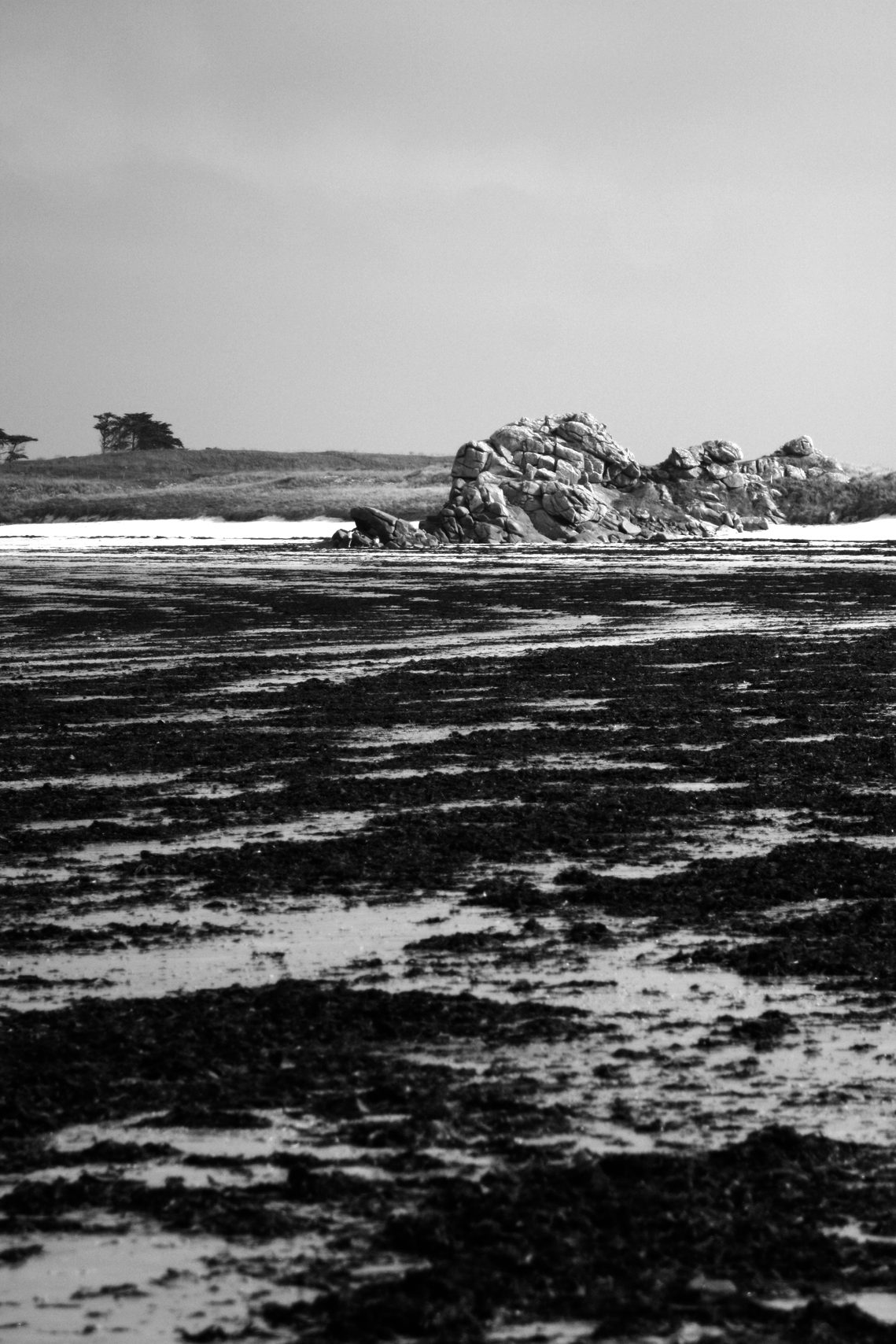 Rocher du Serpent à Tréompan