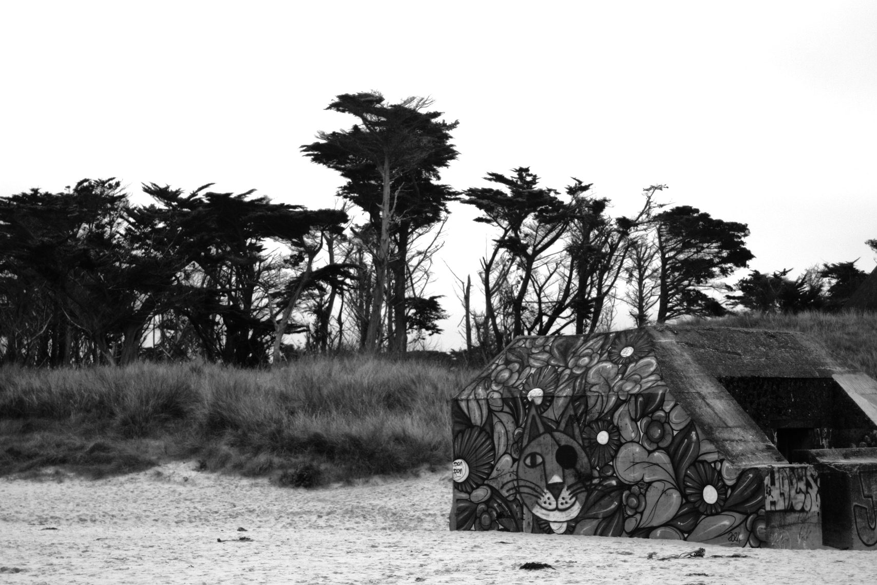 Plage de Tréompan, bunker et déco extérieure décalée