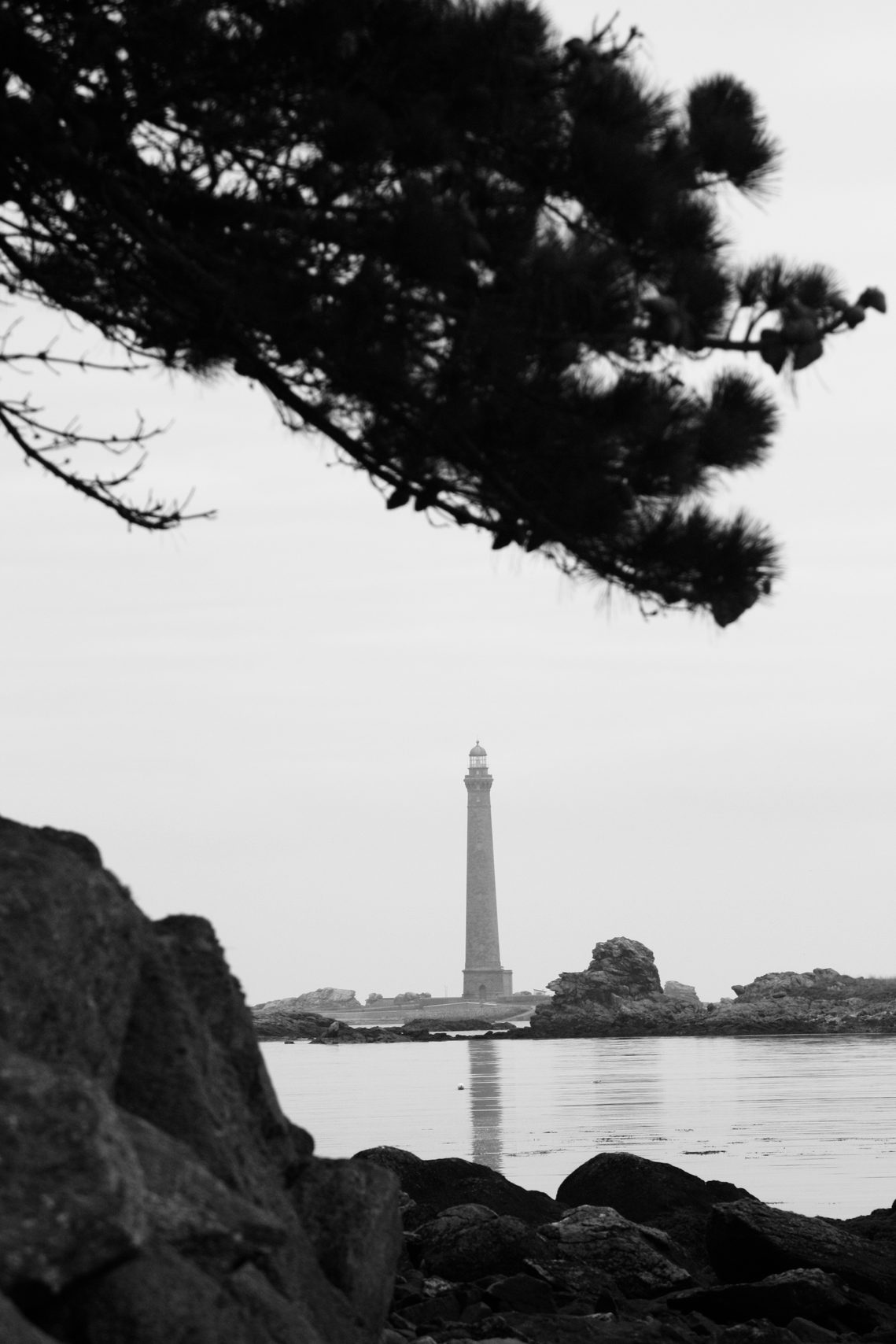 /img/2024/11/09-3.jpg