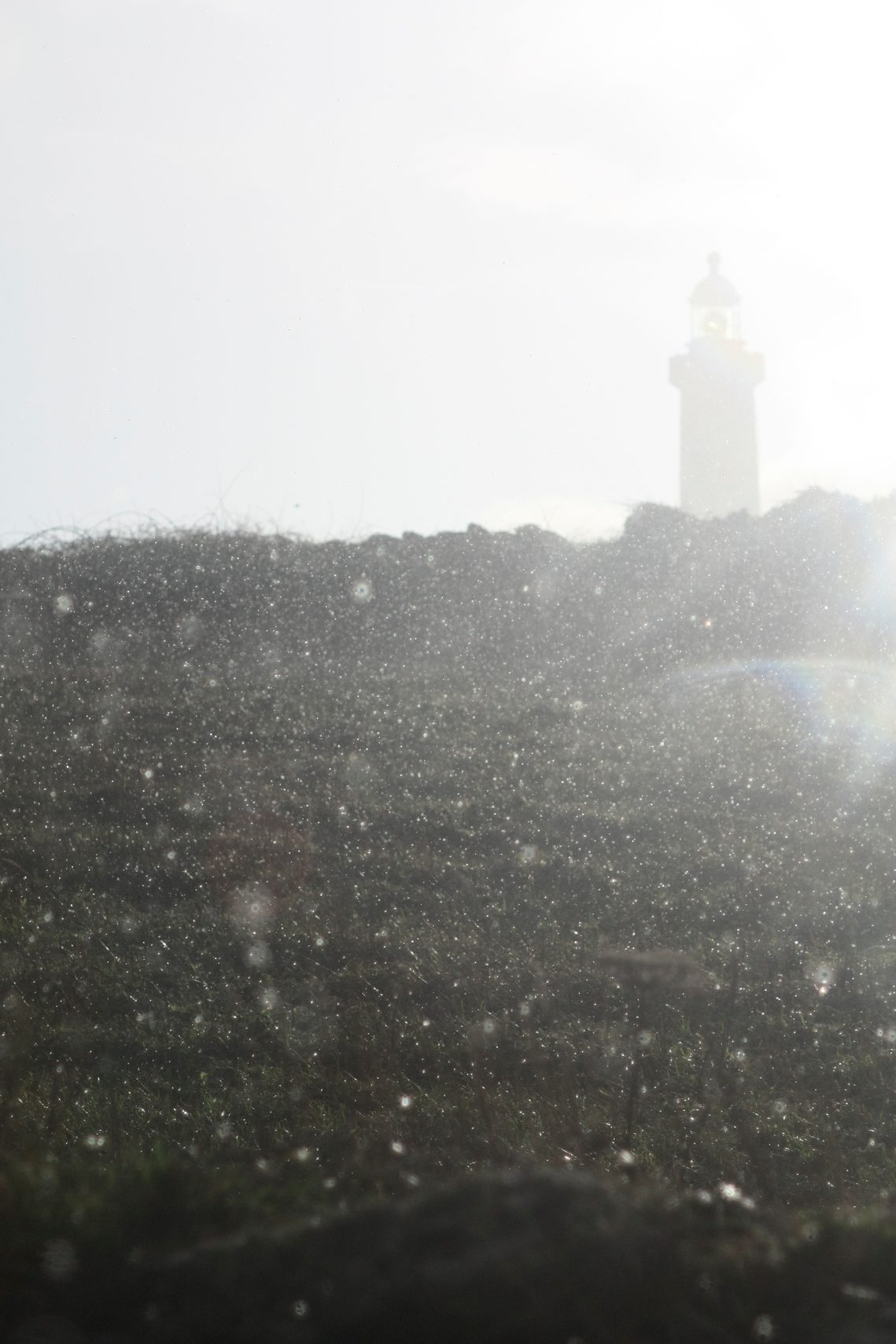 'A Lutèce on dit qu'il pleut mais ici, c'est tout juste un peu vivifiant' : Exemple de pluie bretonne tombant à l'horizontale