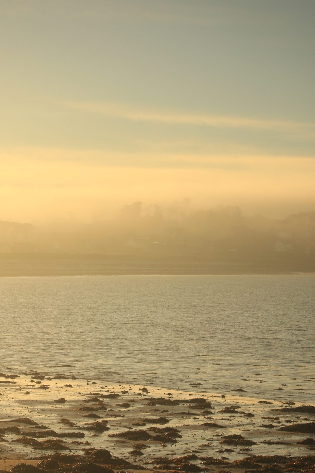 Brume au petit matin