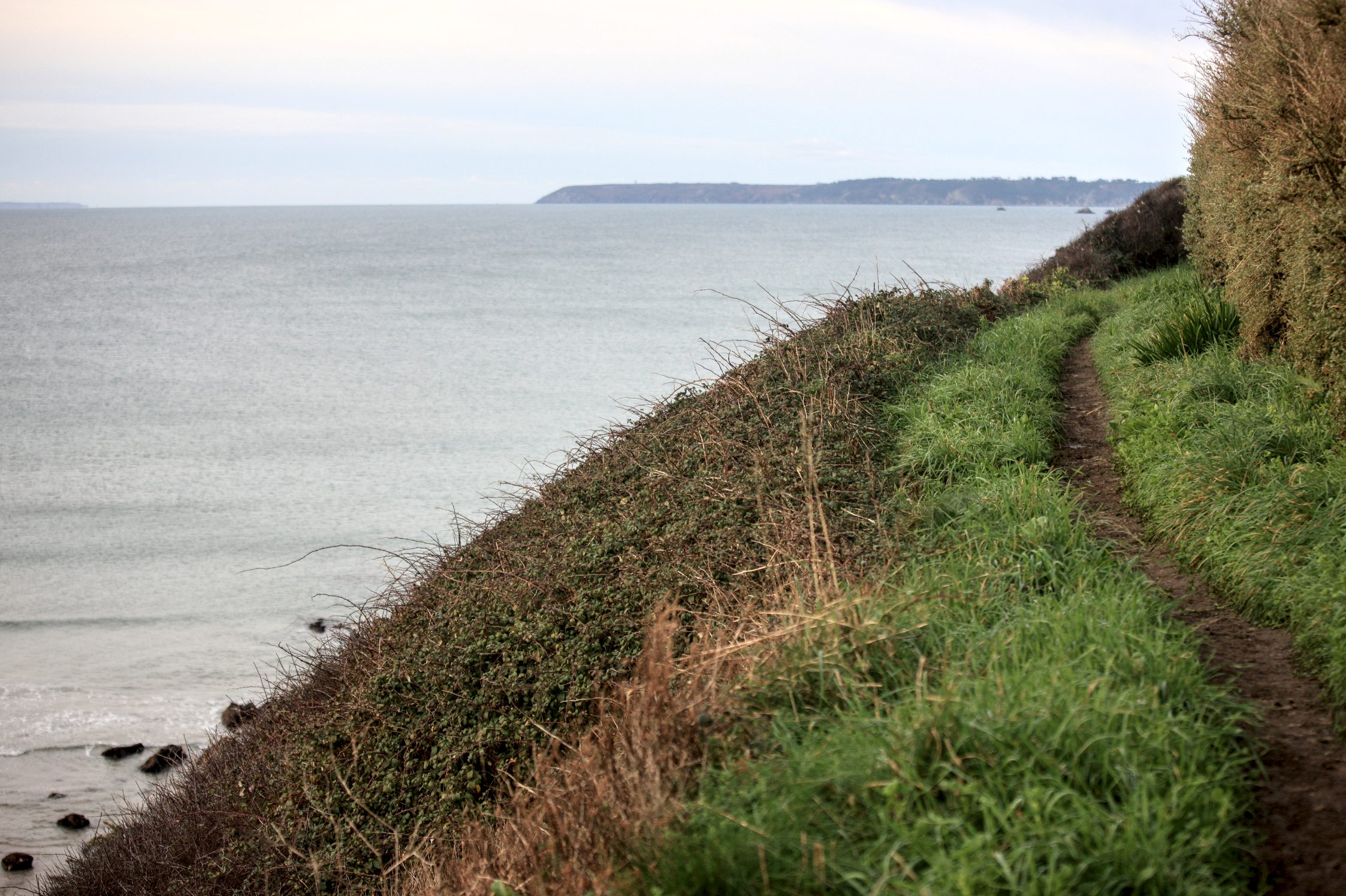 Sentier au sommet des falaises, au loin le cap de la Chèvre