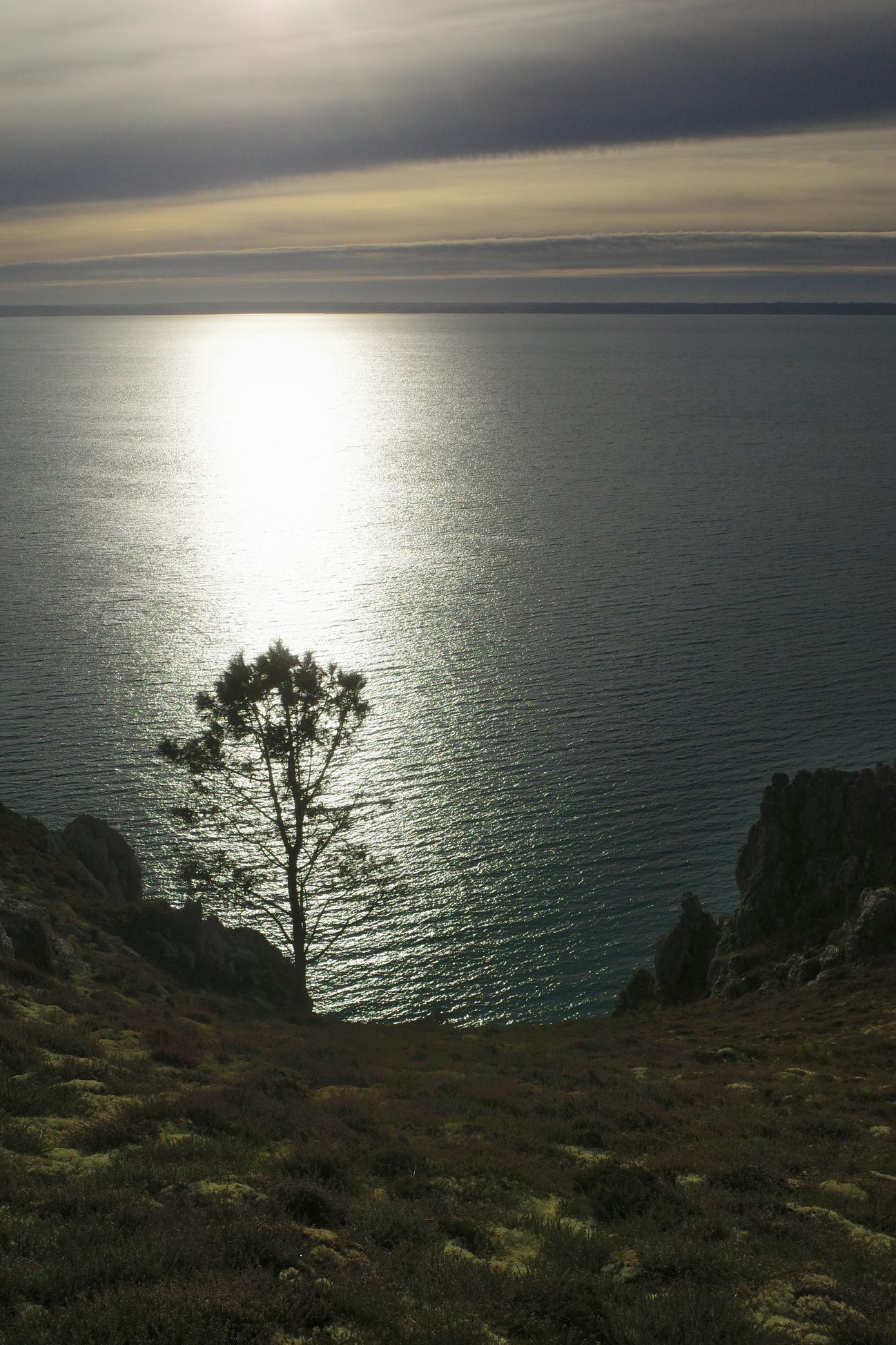 /img/2025/01/03-7.jpg