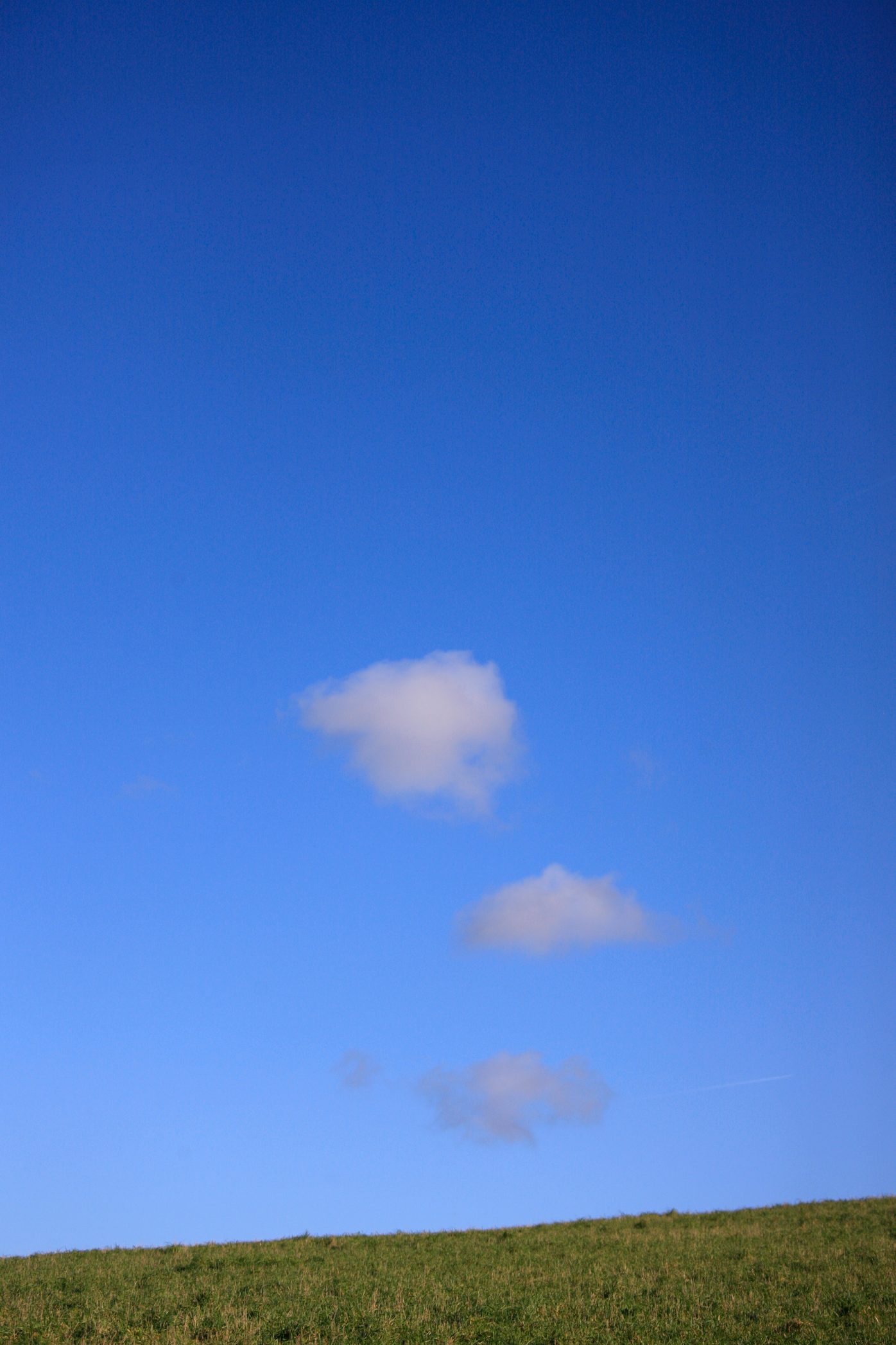 /img/2025/02/01-11.jpg