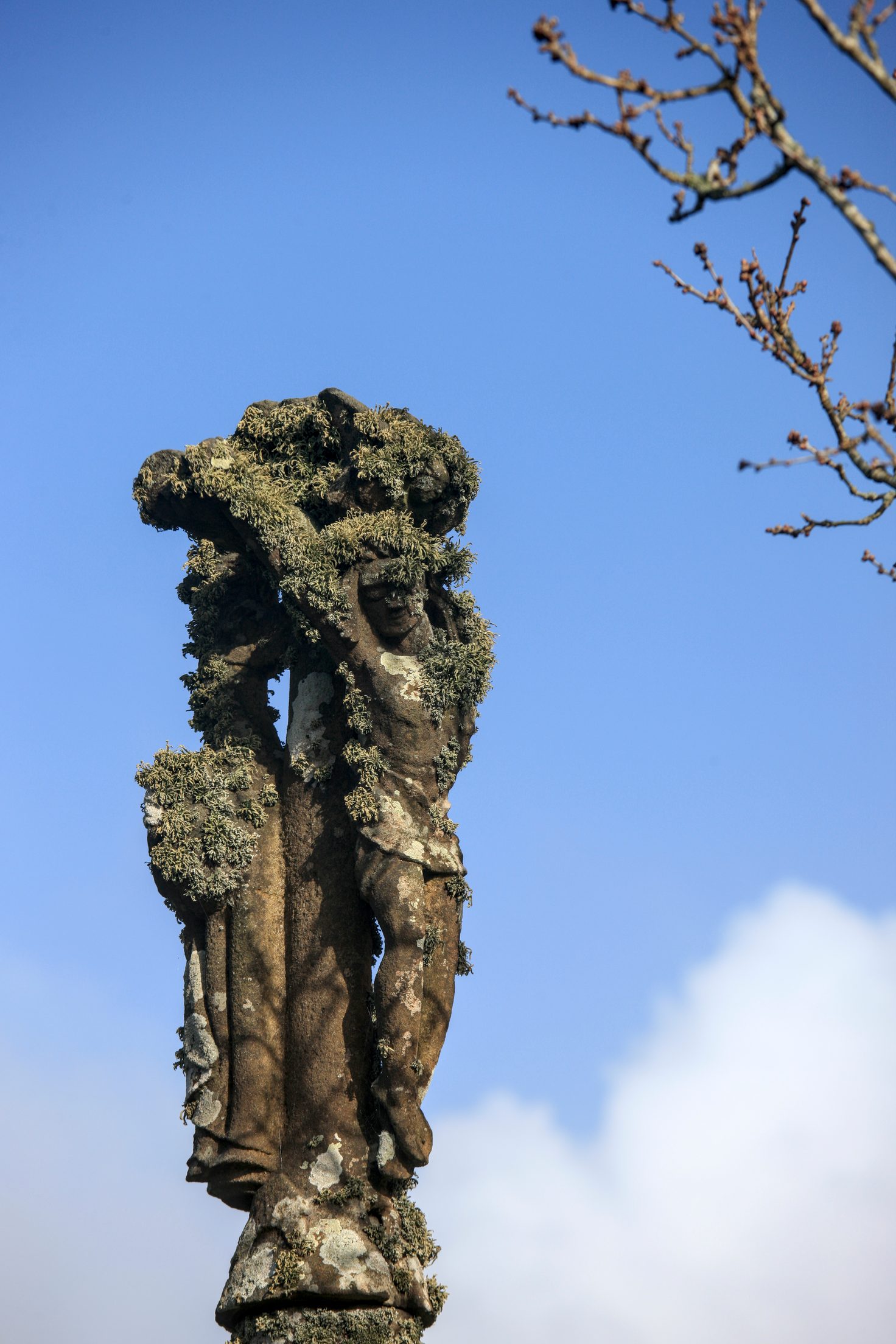 On est en pays païen, les lichens ont envahi JC....