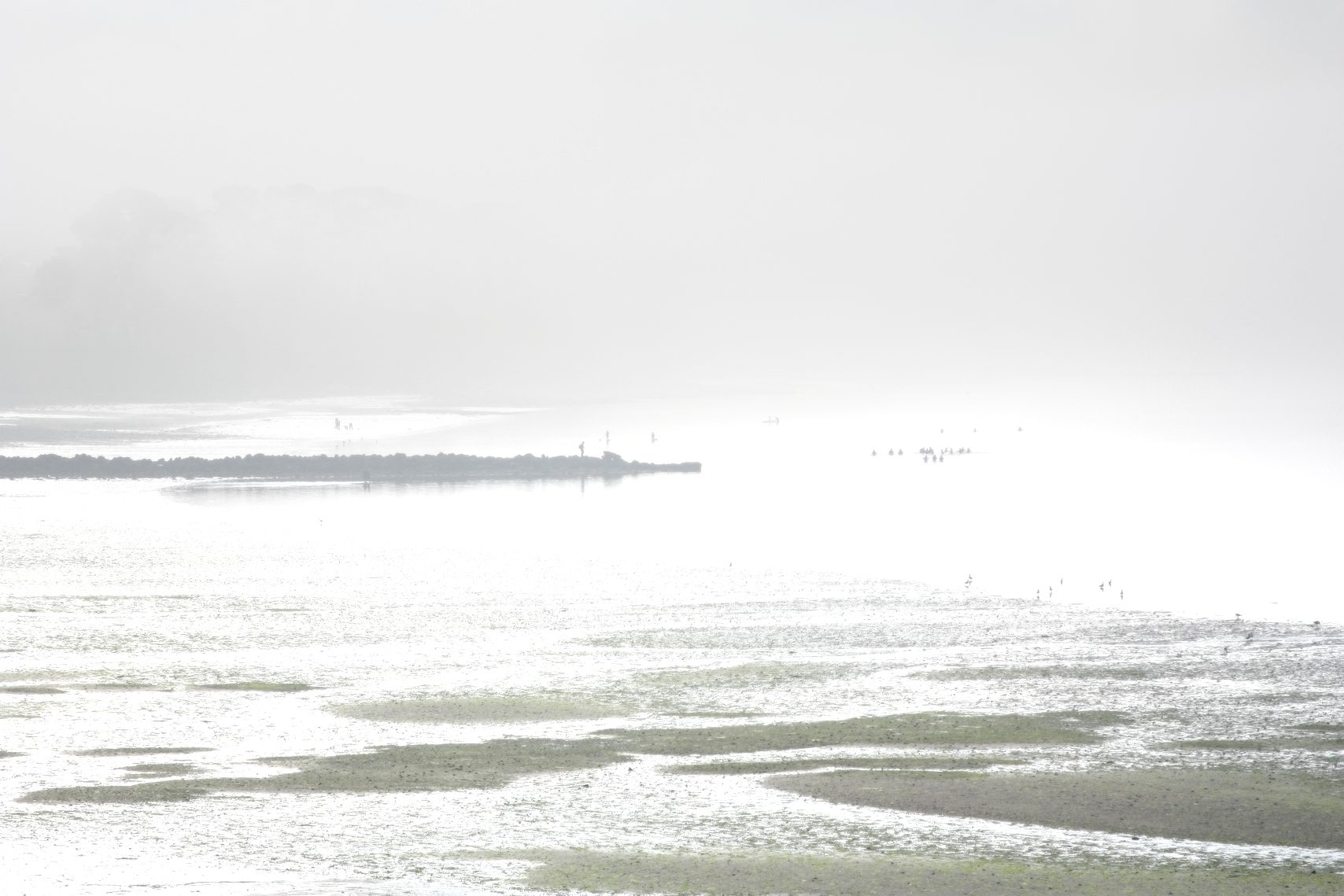 Longe-côteurs dans la brume