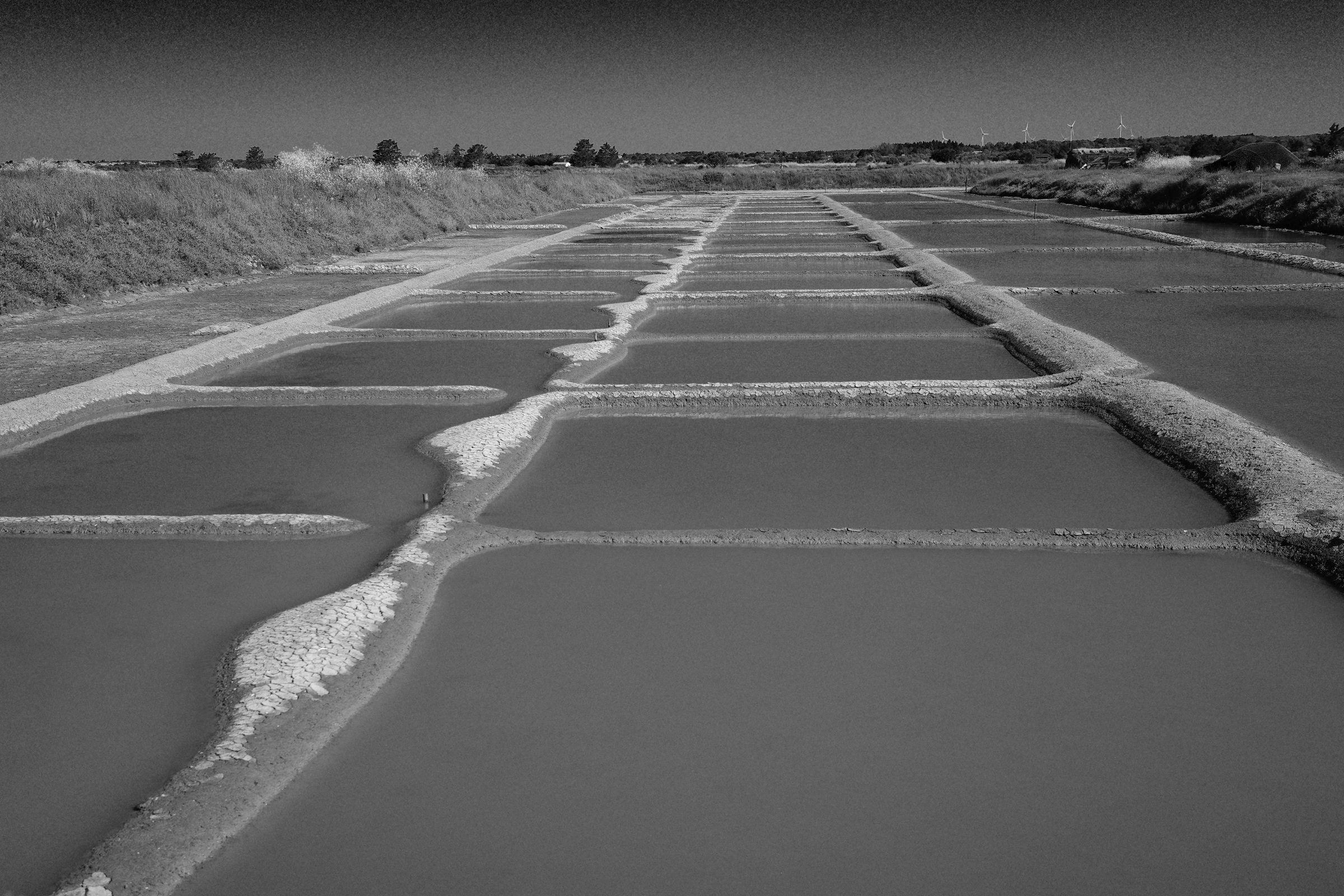 Les Salines