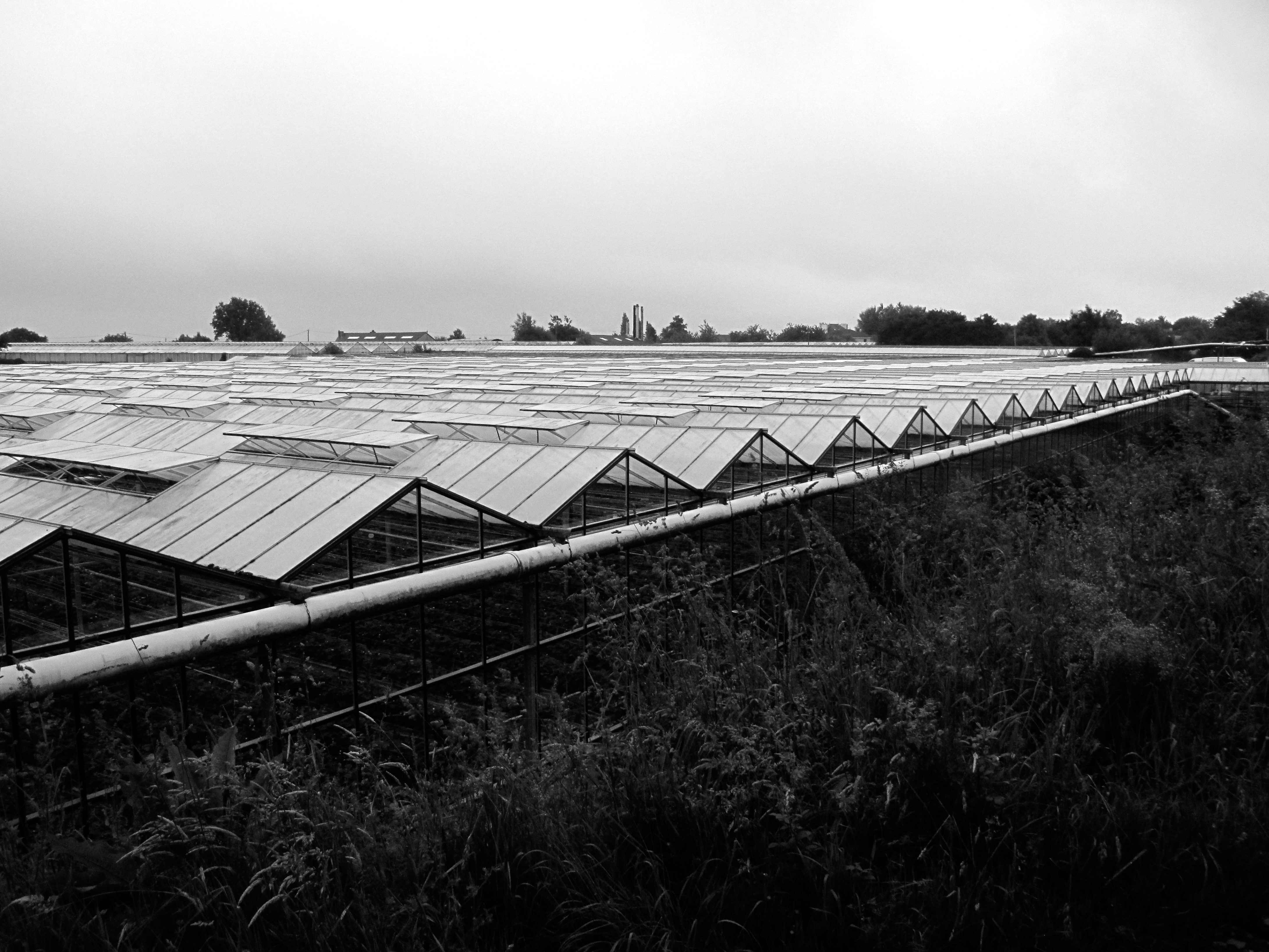 Ah la petite agriculture vivrière, y a que cela de vrai.