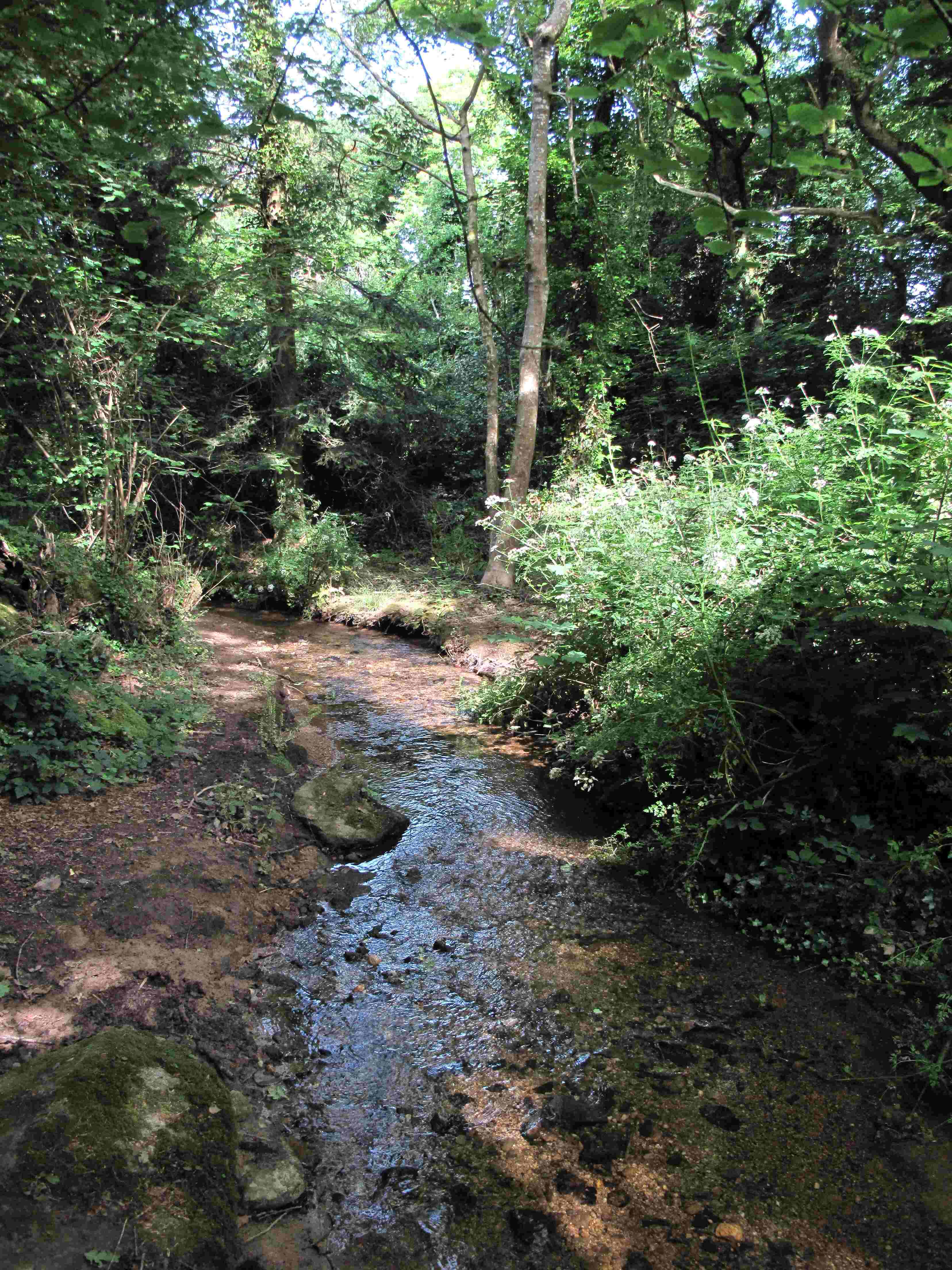 Plusieurs segments rapides le long de cours d'eau