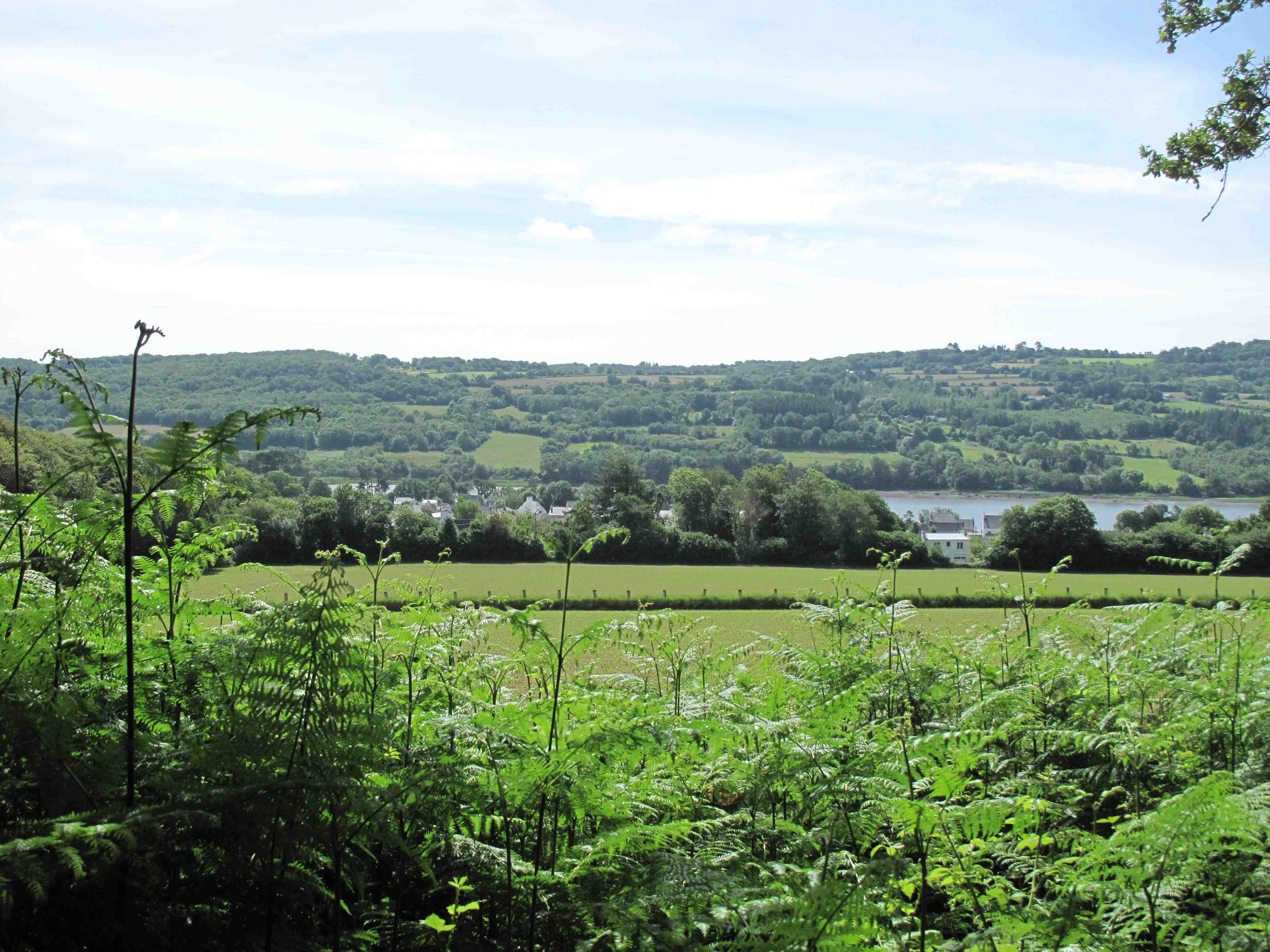 Vue depuis les fougères sur La Forest-Landerneau et l'Elorn.
