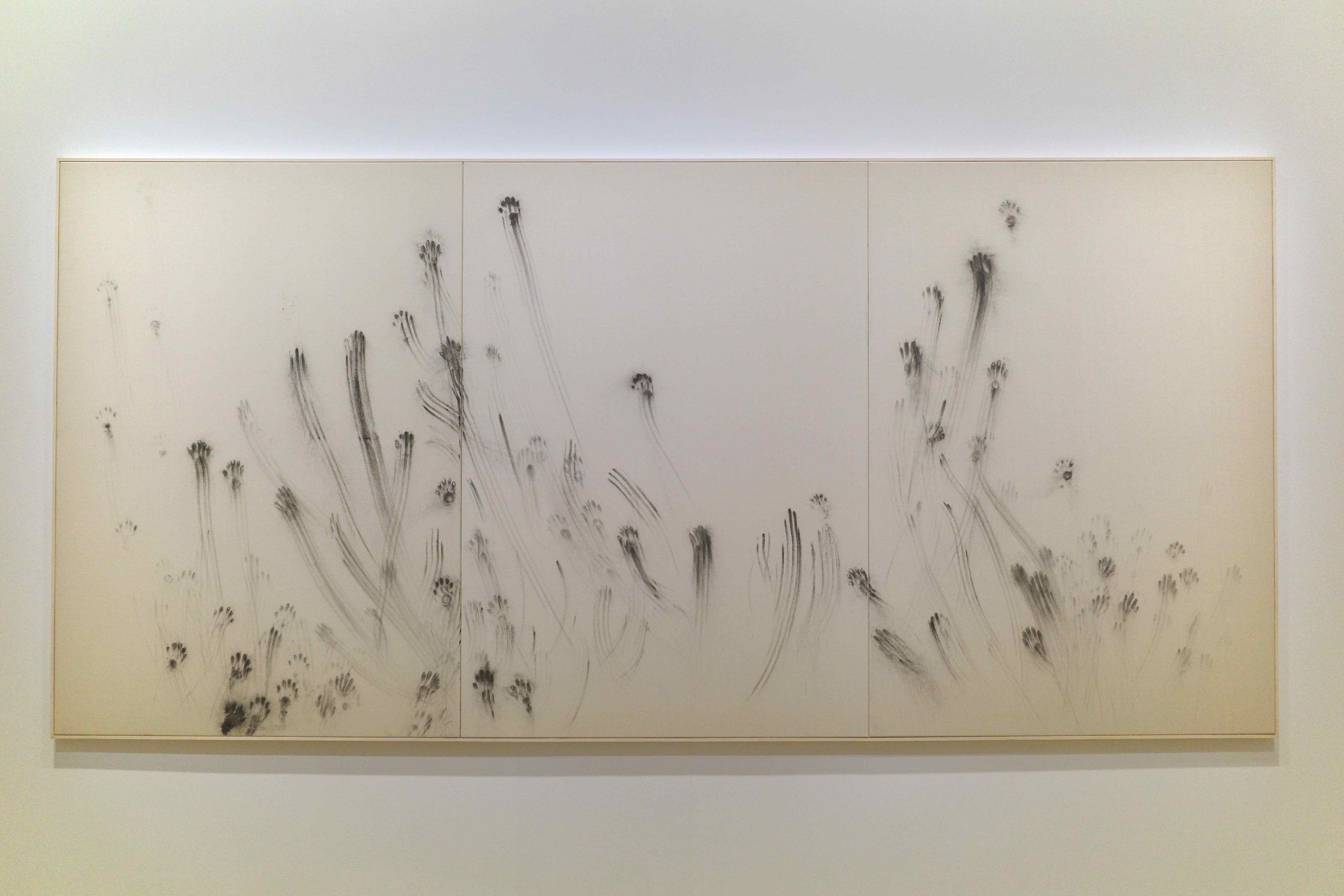 Petrit Halilaj & Alvaro Urbano, A theory of Racoon Aesthetics, 2024, fusain