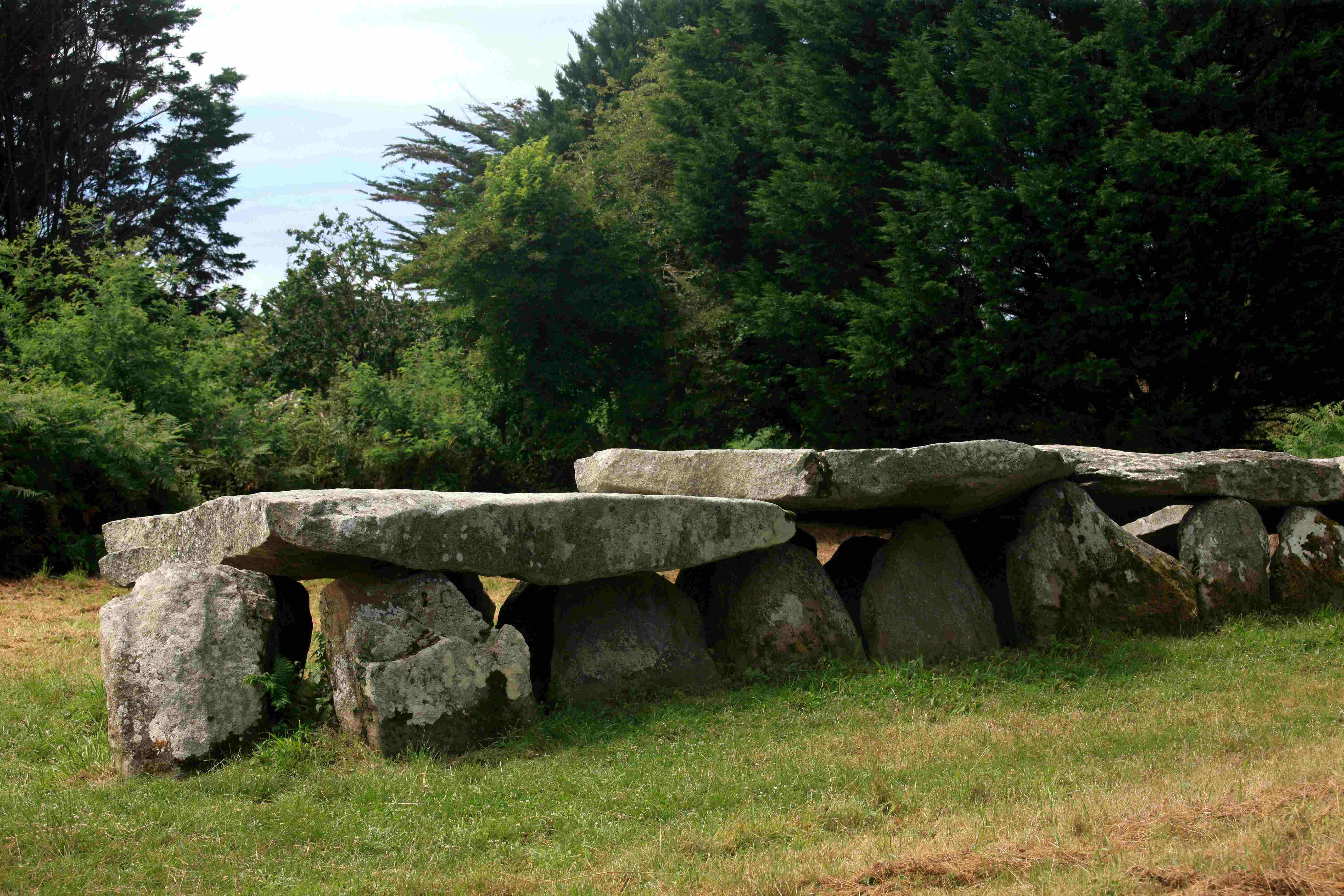 Prajou-Menhir "Prairie des pierres longues" à Trébeurden