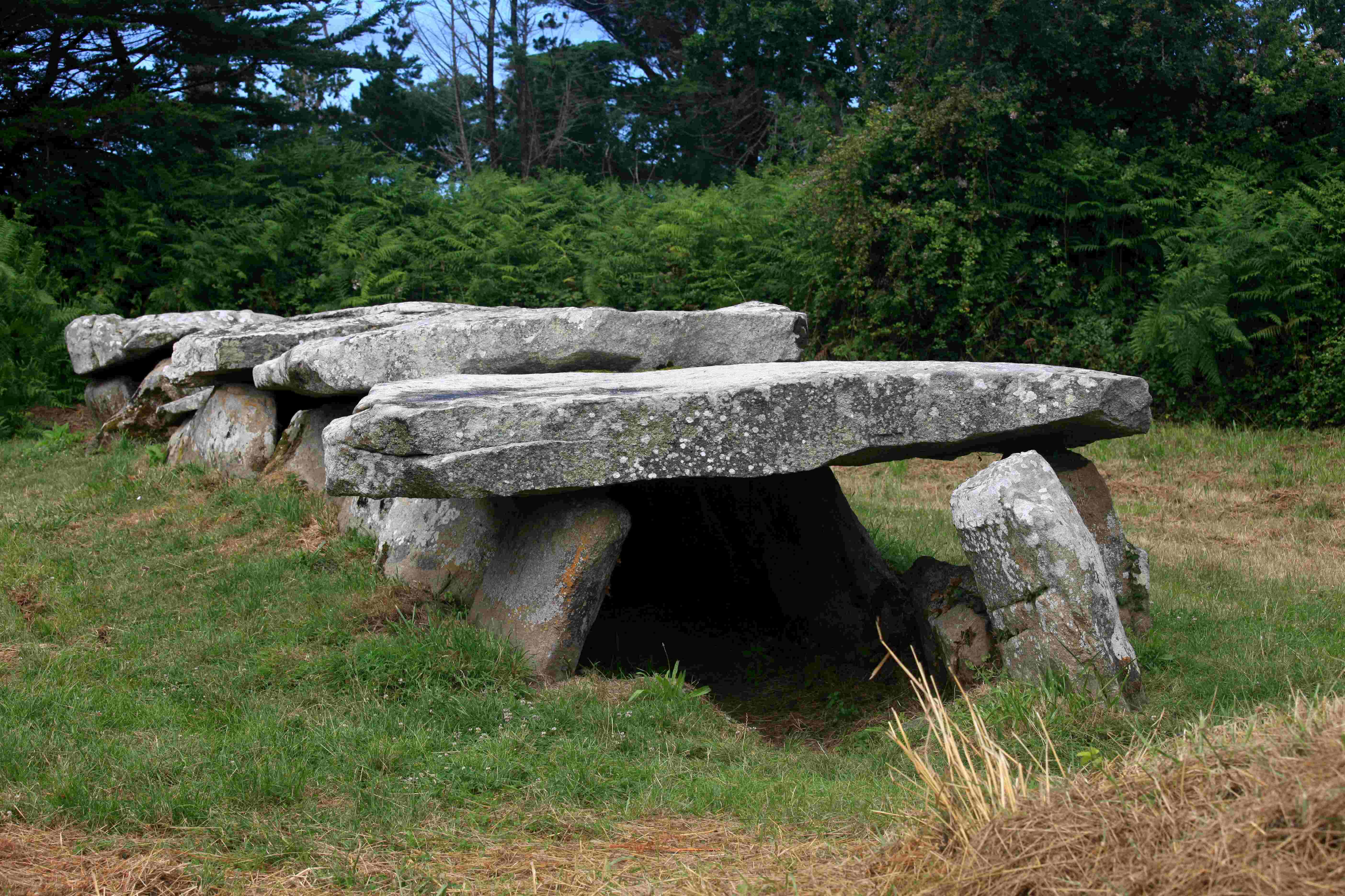 Prajou-Menhir "Prairie des pierres longues" à Trébeurden