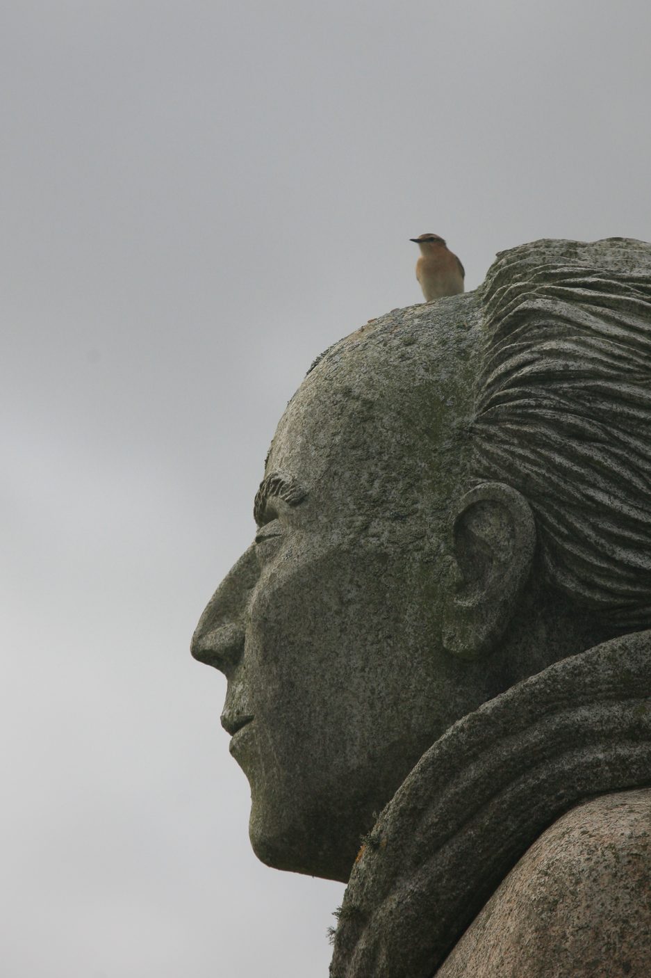 Saint Birdy avec son animal fétiche