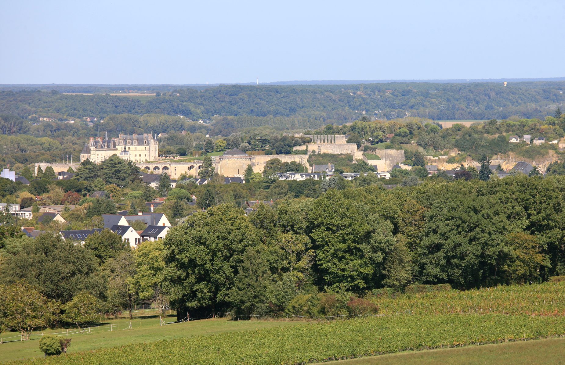 Vue sur Amboise