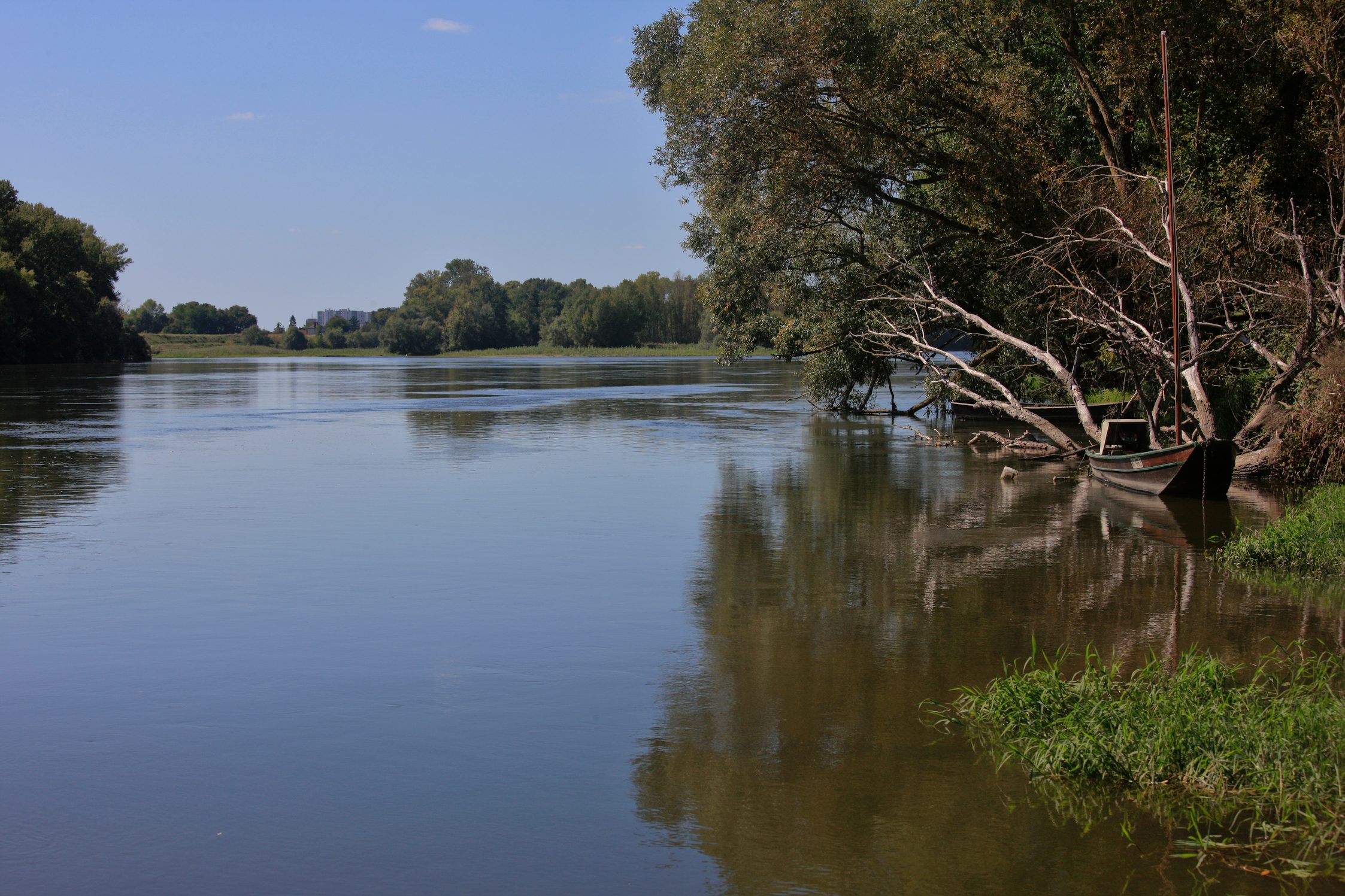 Vue sur la Loire