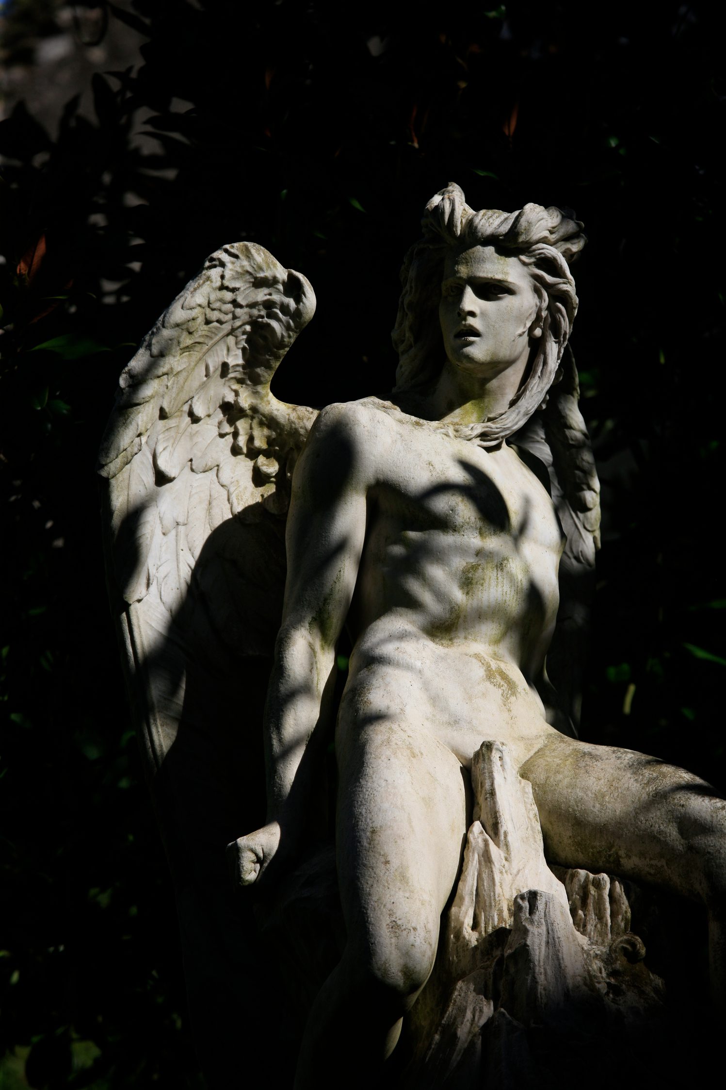 L'ange déchu